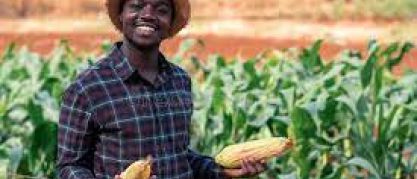 farmer harvesting