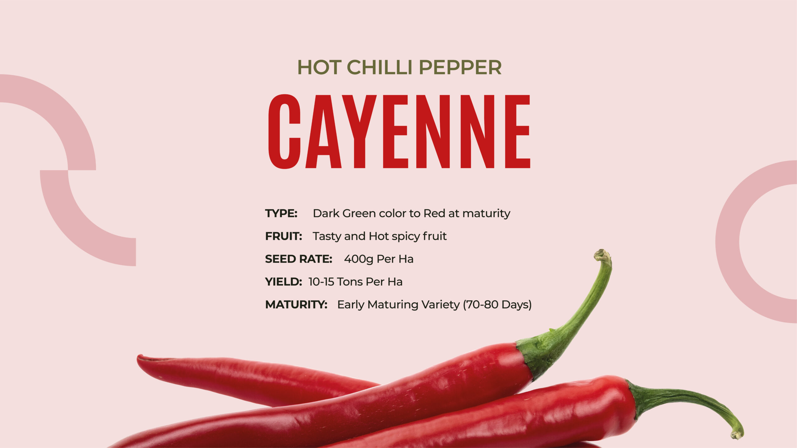 cayenne seed